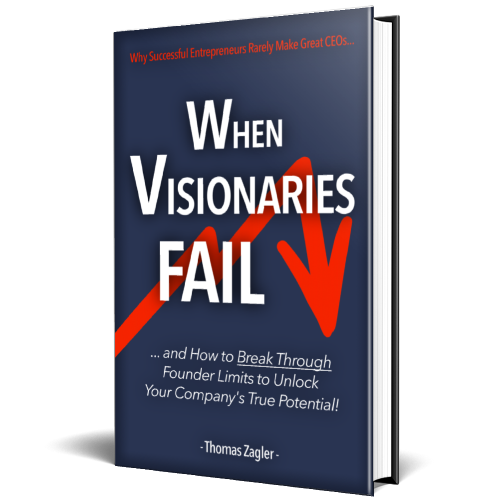 When Visionaries Fail book cover